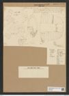 Isthmia nervosa Kuetz. (de-Toni-Nr.: Genus 115, Species 3325) Zeichnungen Sammlung Grunow Nr. 6723 (NHMW-BOT-W0375530)